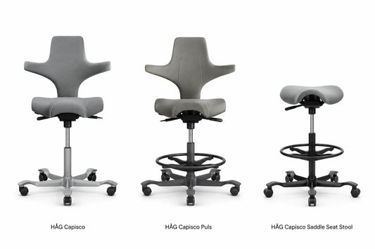 Buying The HAG Capisco: Which One Is Right For You?