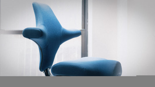 The HAG Capisco: Revolutionizing the Way You Sit and Work