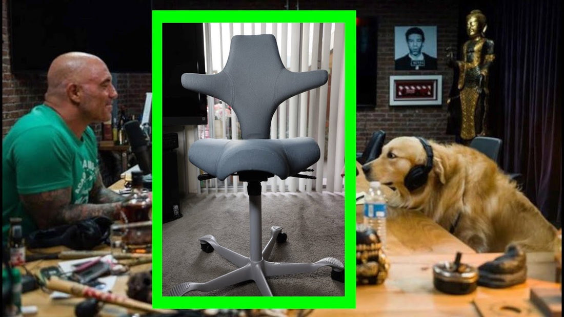Joe Rogan's Choice: The Håg Capisco Chair's Impact on Ergonomic Sitting