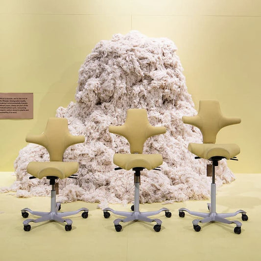 Bye Bye Back Pain with the HAG Capisco Office Chair