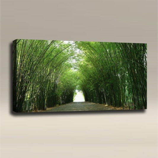 Chairly Acoustics Nature Collection -  Bamboo Tunnel