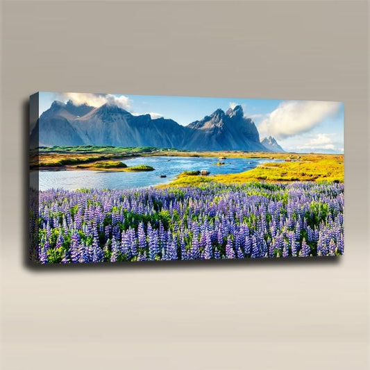 Chairly Acoustics Nature Collection - Lupines on Stokksnes