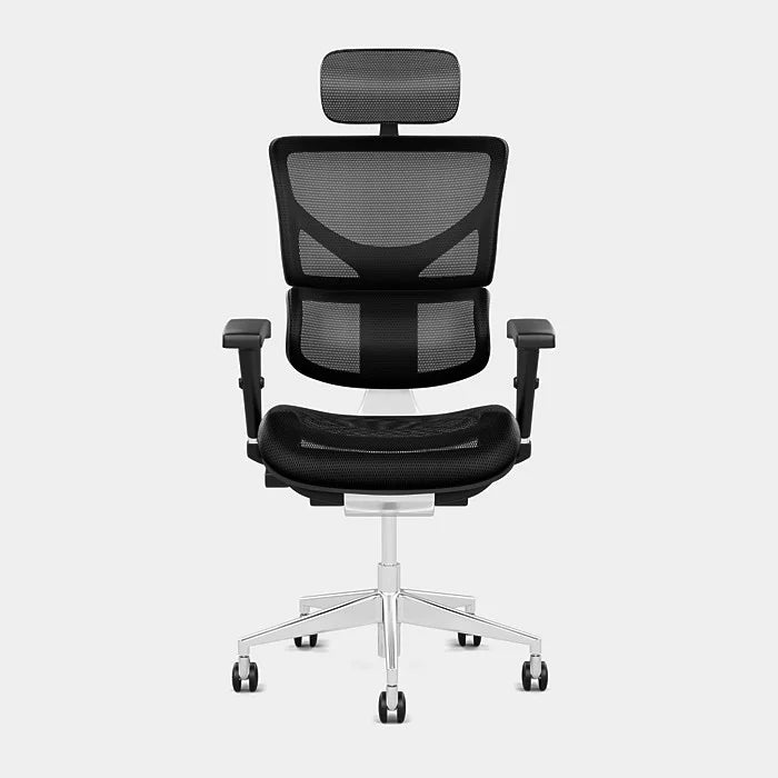 X2 & X4 Management Office Chair - 10 Ergonomic Adjustments 